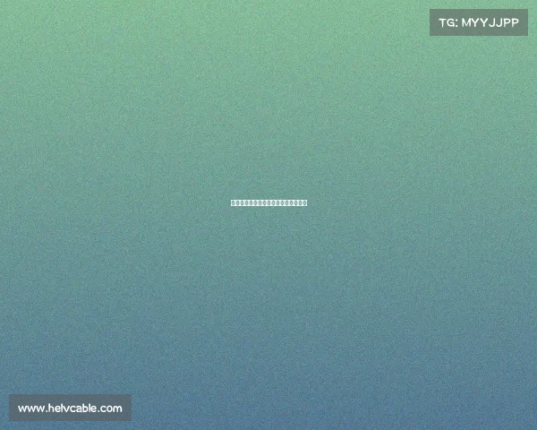 德甲球队边路进攻战术解析与实践探讨