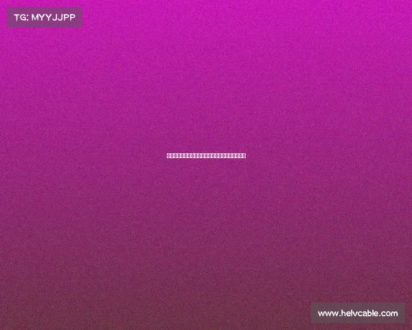 雷恩城市历史文化与现代发展的交融探索与未来展望