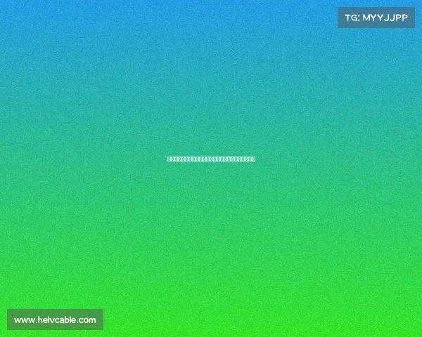 曼联签霍伊伦与安东尼揭示滕哈赫背后经纪公司深层联系