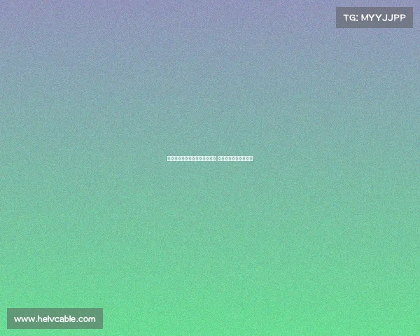 金塞拉：巴黎重启扎巴尔尼谈判 热刺密切关注局势发展