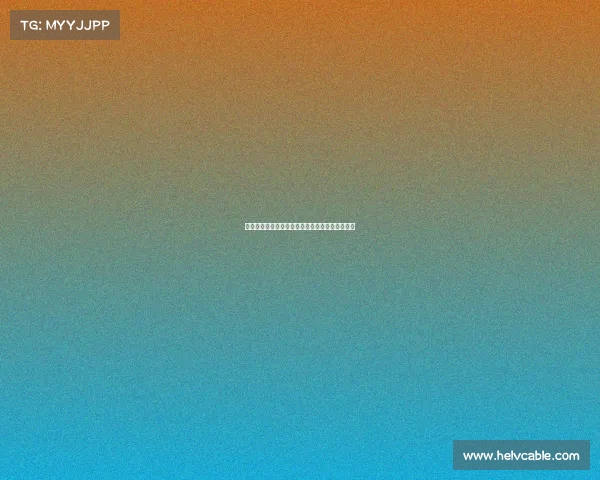 阿莫林称迭戈莱昂表现出色或将成为多古替补人选