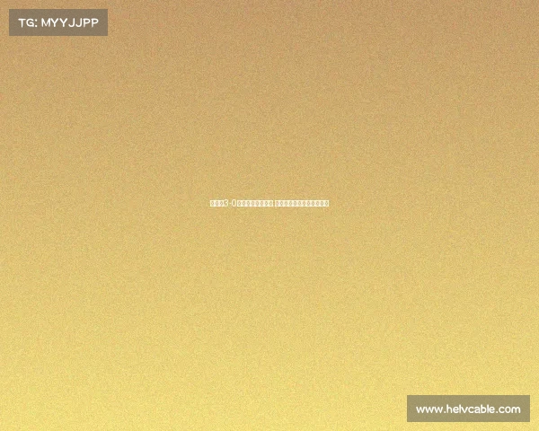 阿森纳3-0毕包夺酋长杯冠军 哲凯赖什首球萨卡传射助力