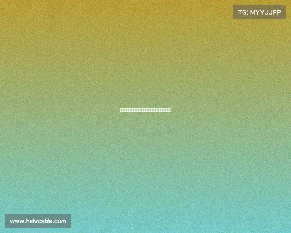 谢什科与经纪人放弃部分收入助力转会顺利完成