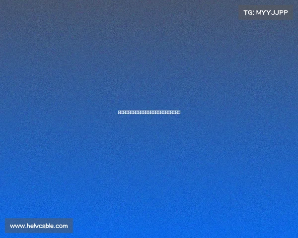 曼联签霍伊伦与安东尼揭示滕哈赫背后经纪公司深层联系