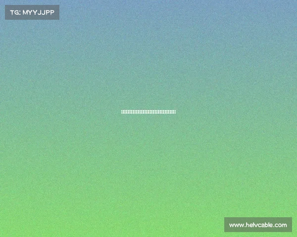 网球比赛门票火爆销售全场售罄热情观众抢购一空